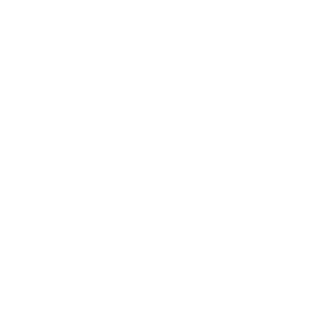 Insight Resort Logo